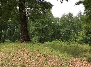 Mountain Oak Ct, Ellijay, GA 30536