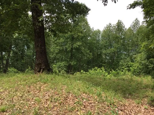 Mountain Oak Ct, Ellijay, GA 30536