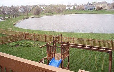 Back yard