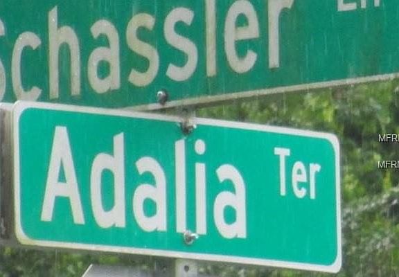 5th image of 139 Adalia Ter