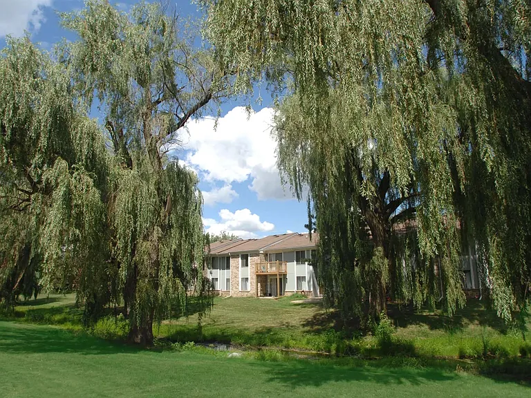 Beautiful Grounds