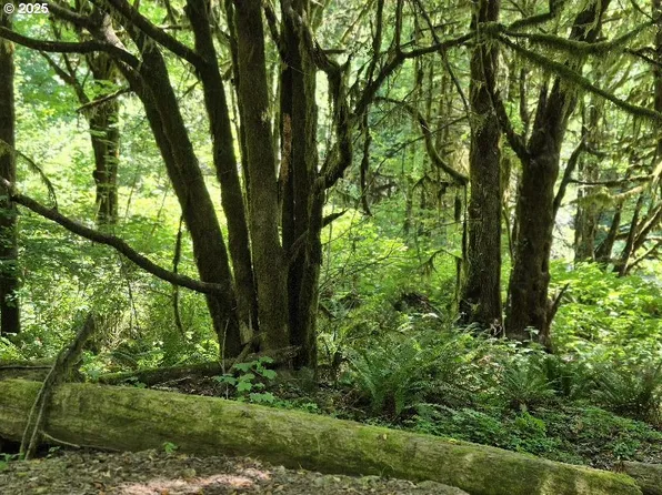 Middle Creek Rd #700, Myrtle Pt, OR 97458