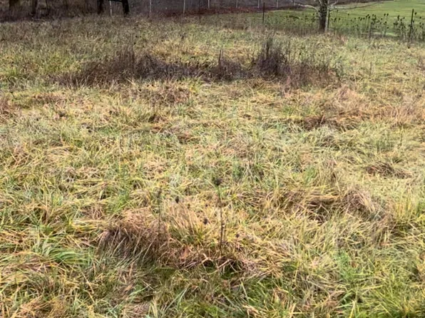 662 N 12th St, Philomath, OR 97370