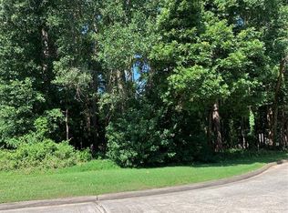 901 Longmire Rd UNIT 61, Conroe, TX 77304