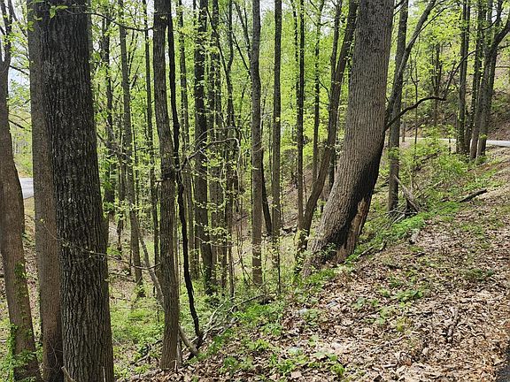 3rd image of LOT 1 Hatcher Mountain Rd
