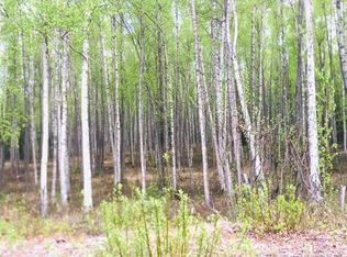 14093 W Marten Rd, Wasilla, AK 99623