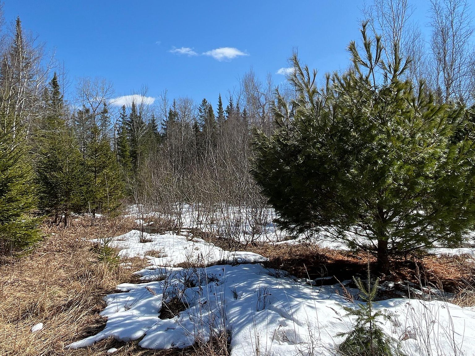 479 Main Road Lot 61, Eddington, ME 04428 Zillow