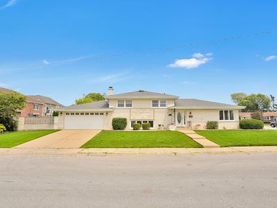 8158 W Catherine Ave, Chicago, IL, 60656