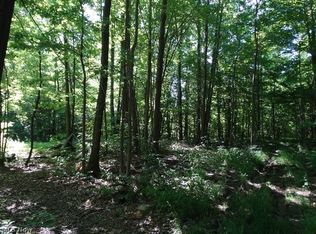 Dodgeville Rd, Jefferson, OH 44047