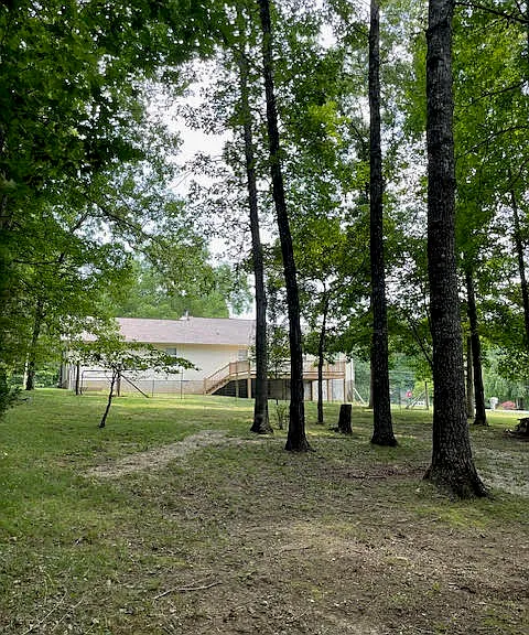 1974 Spruce Loop — Photo 4