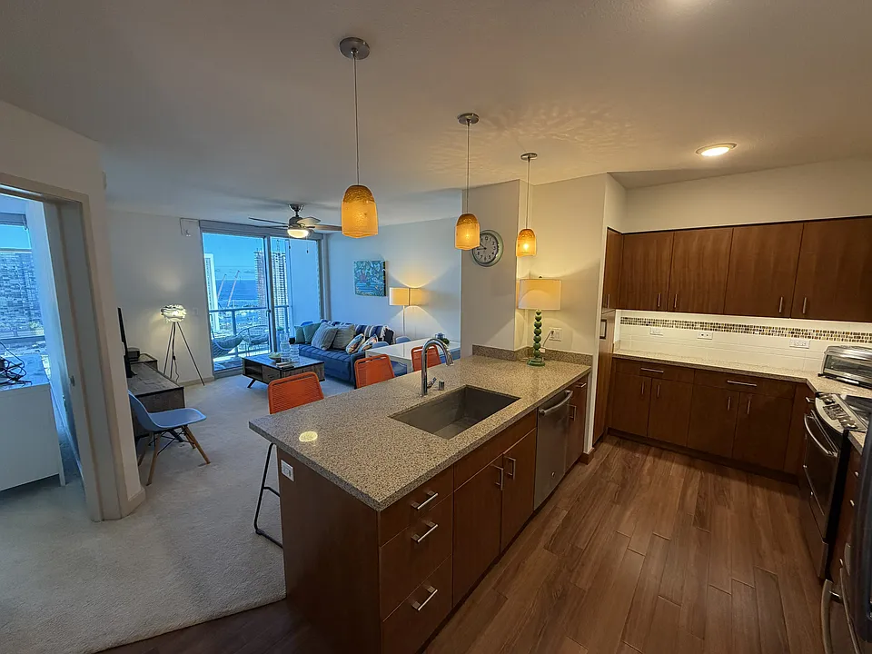 555 South St #3204