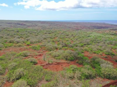 0 Kalua Koi Rd #38, Maunaloa, HI, 96770