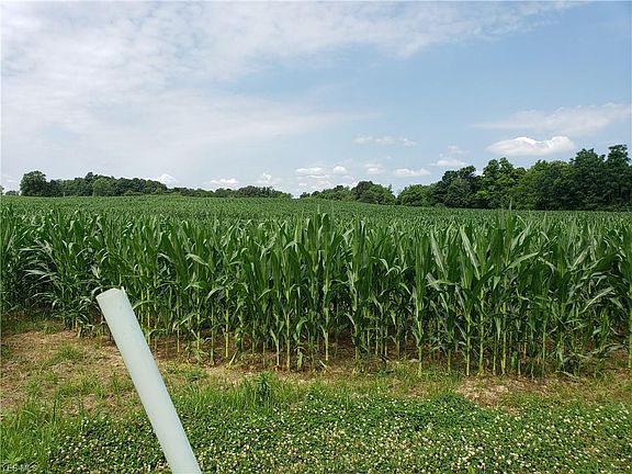 5th image of 14602 Township Road 468