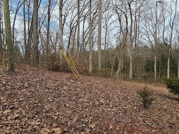 343 Gumlog Grove Rd #.3, Lavonia, GA 30553