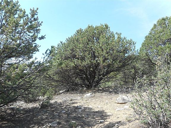 5th image of 30189 Princeton Cir Lot 14