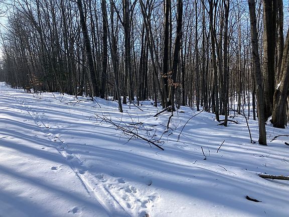 2nd image of 6863 E Spring Ln