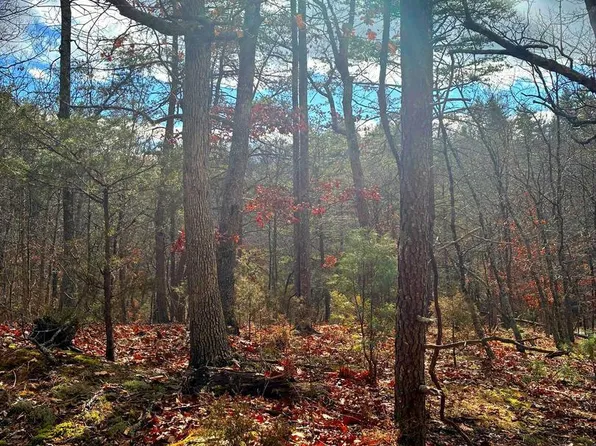 0 King St, Basye, VA 22810