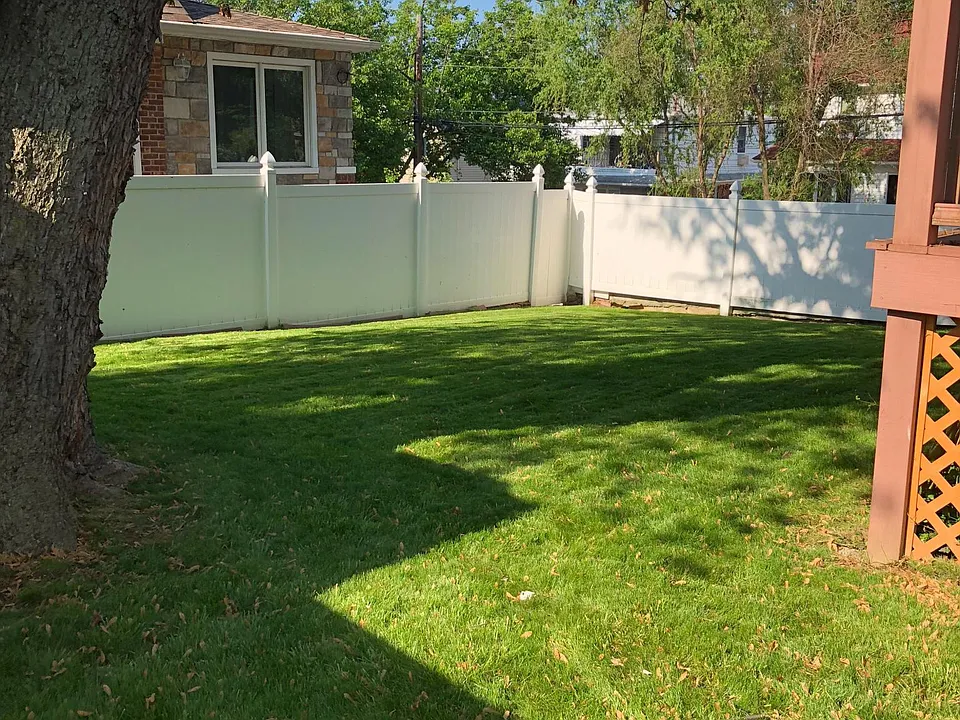Back yard