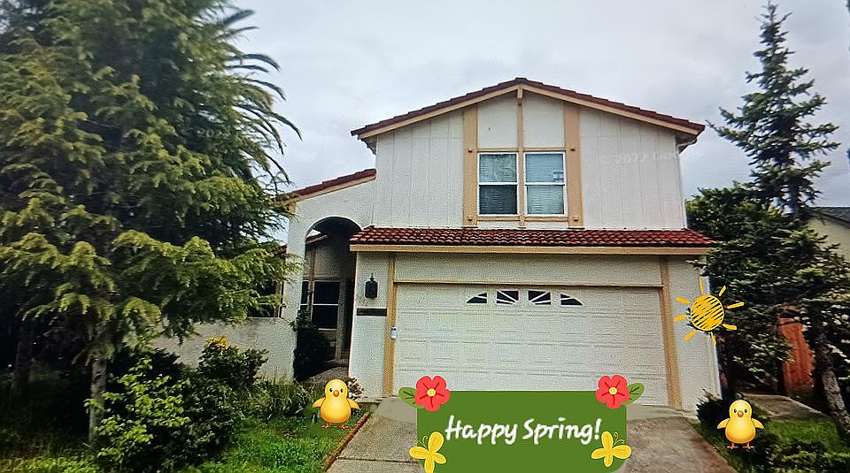 Happy Spring of 2024!