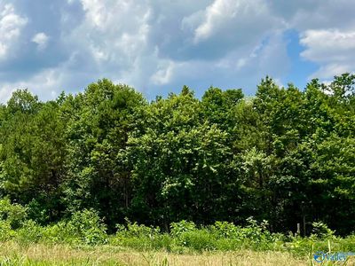 Gray Rd, Mentone, AL, 35984