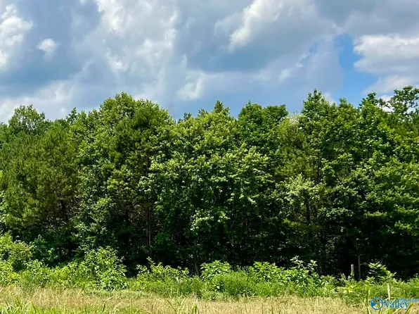 Gray Rd, Mentone, AL 35984
