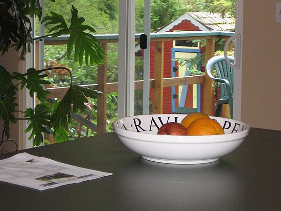 kitchen counter looking out west