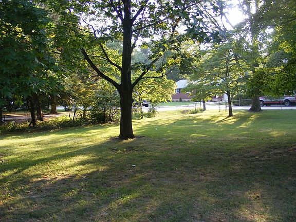 Expansive lush rear yard
