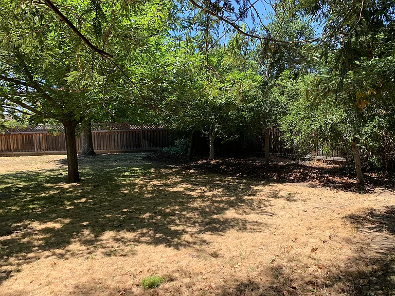 40156 Windsor Ct — Photo 14