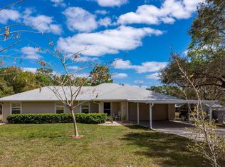 10611 SE Highway 464c, Ocklawaha, FL 32179