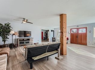 2874 Haskell Ct, Watkins, CO 80137