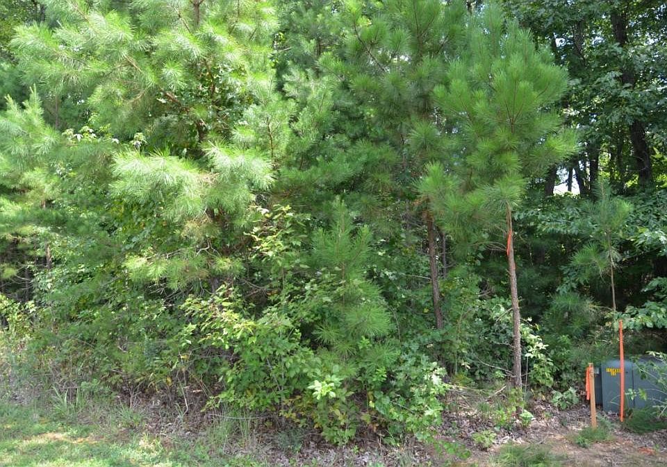 1st image of 3 Byrd Creek Ln