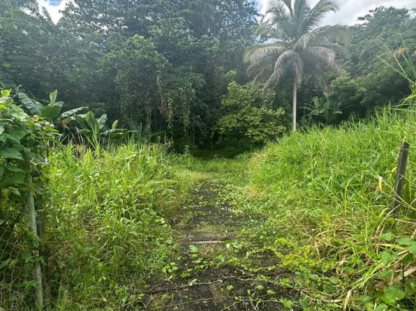 Lote 4 Hacienda Del Lago Calle #301, Trujillo Alto, PR 00976