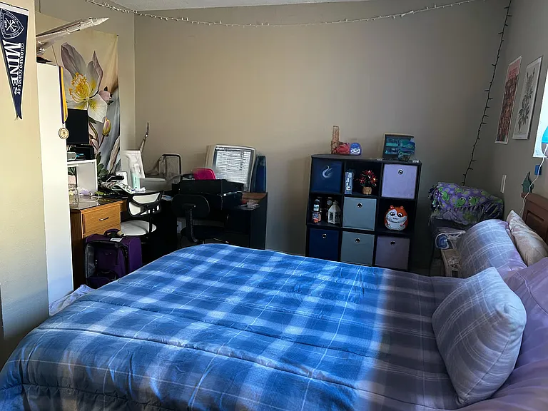 Bedroom 3, lower level