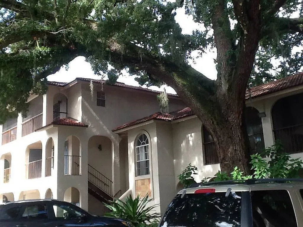 611 E. Amelia Street — Photo 4