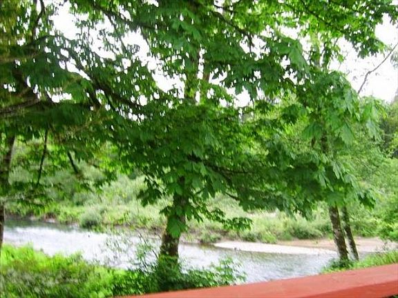 VIEW FROM DECK