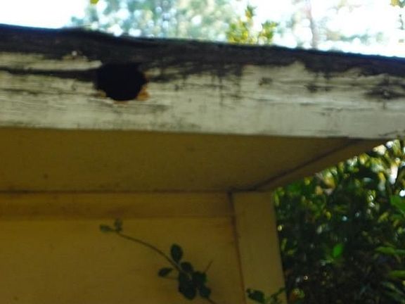 4th image of 2119 McGregor Dr