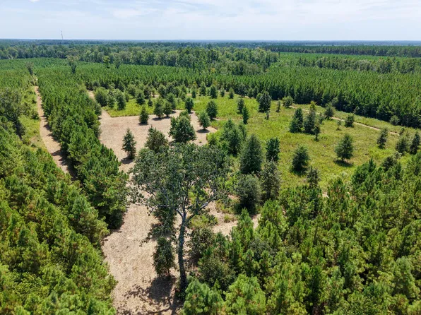Pid 150414 Cc Rd, Diboll, TX 75941