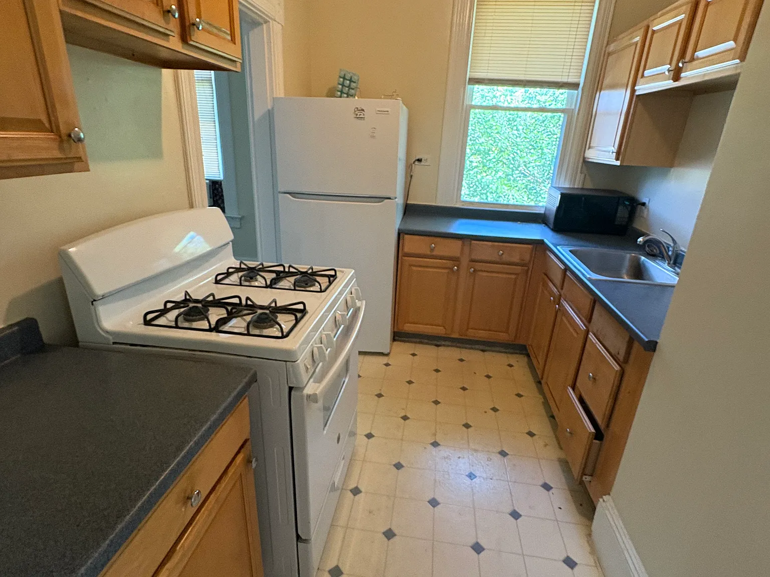 1 bed, $925 — Photo 2