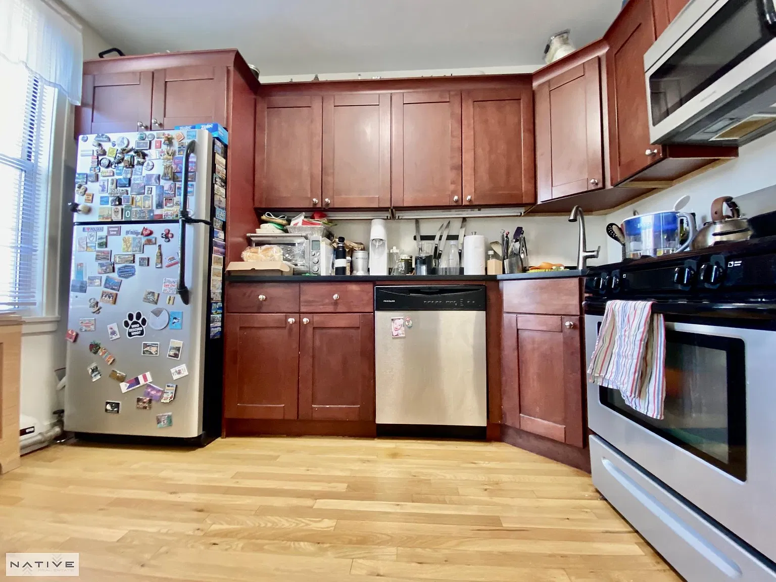 141 Freeman Street — Photo 4