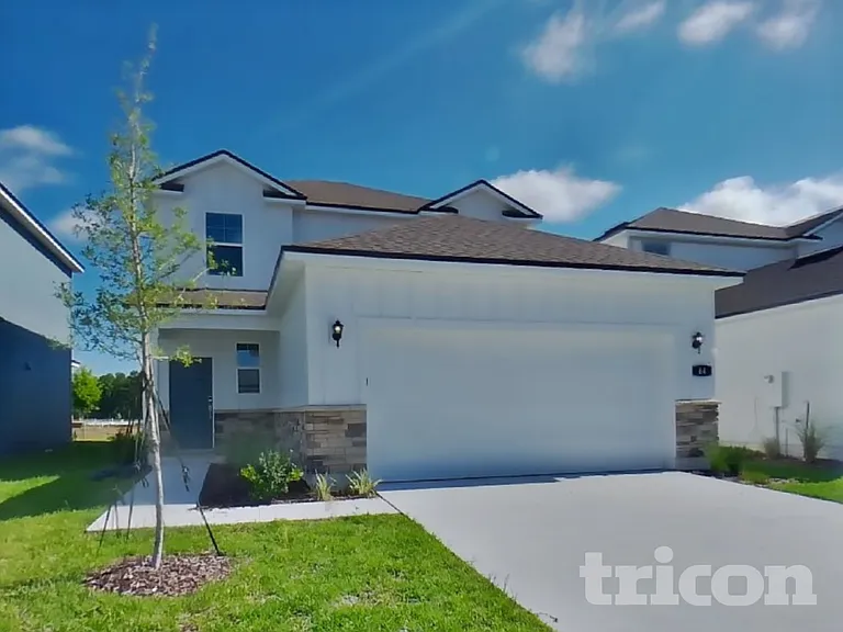 64 Brazil Nut Cir — Photo 2