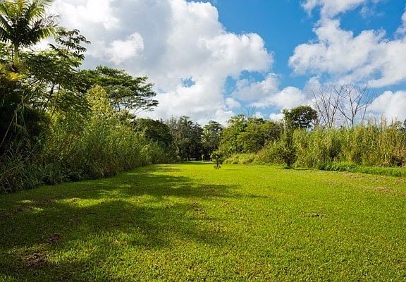 3rd image of 13-3437 Alapai St Lot 11