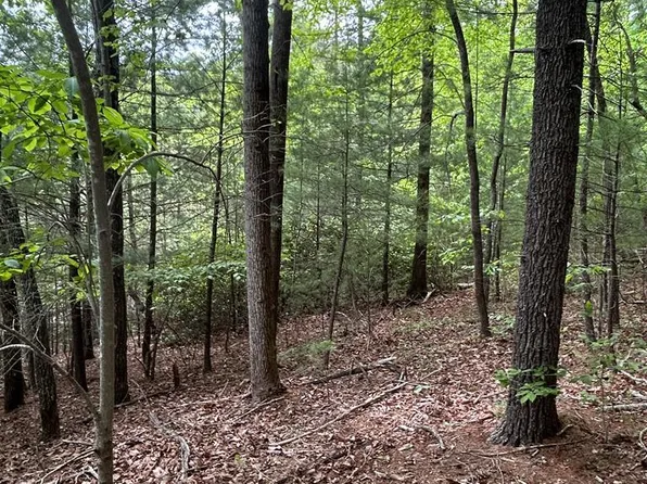 0 Hatchers Chapel Rd, Claudville, VA 24076