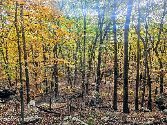 5th image of LOT-440R Autumn Ct