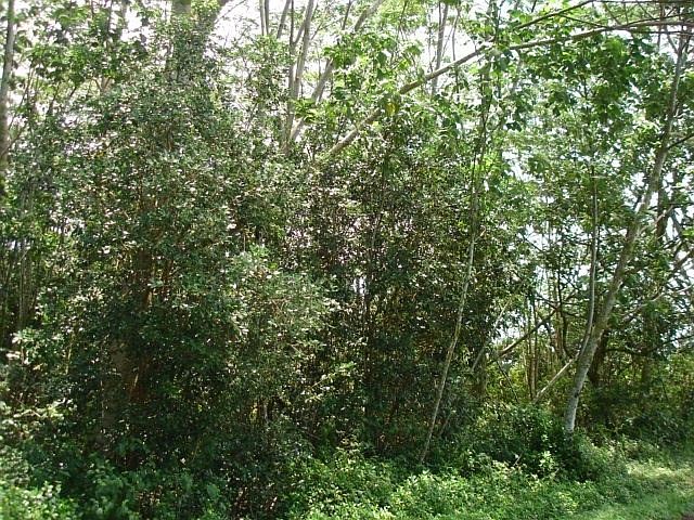 2nd image of 27 Avenue