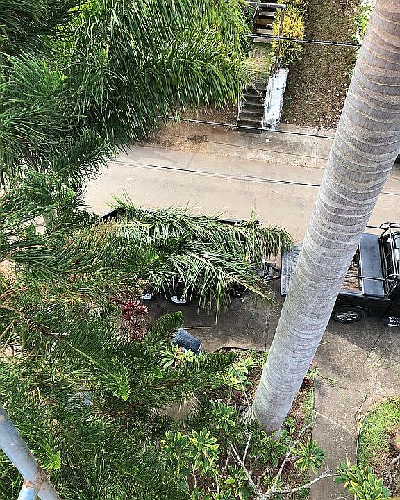 2nd image of 44-339 Puaolena St