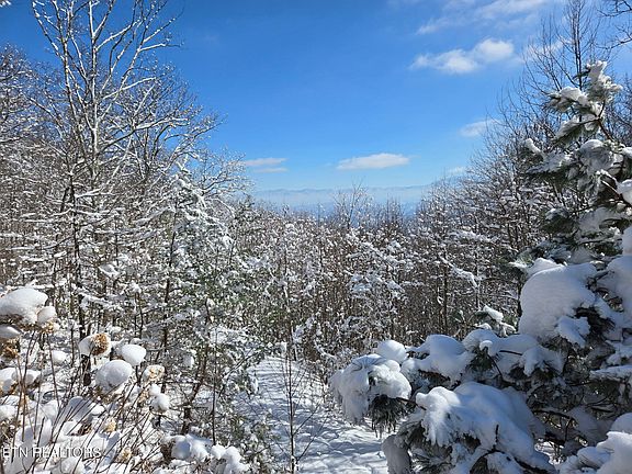 5th image of 2592 Bluff Mountain Rd