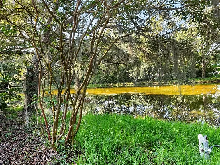 4920 Old Oakleaf Dr — Photo 32
