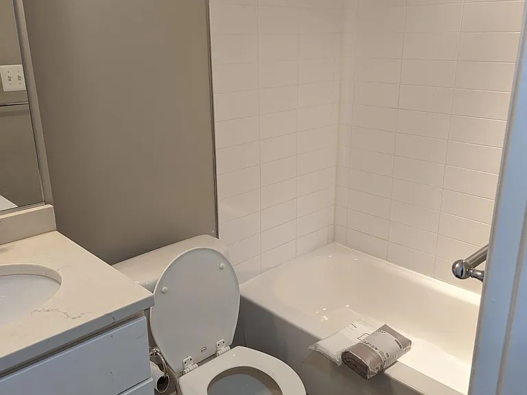 Basement Bathroom (1/2)
