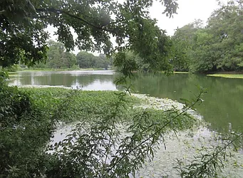 Rented by Space Real Estate