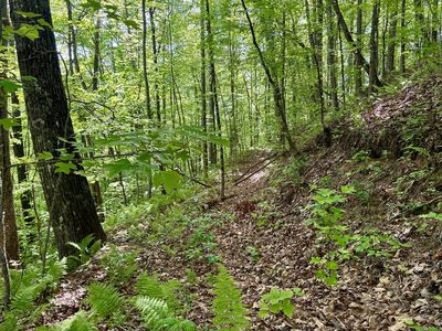 48 Moonlight Dr, Bryson City, NC, 28713
